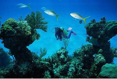 传奇的落幕 rare工作室两名核心人员离开